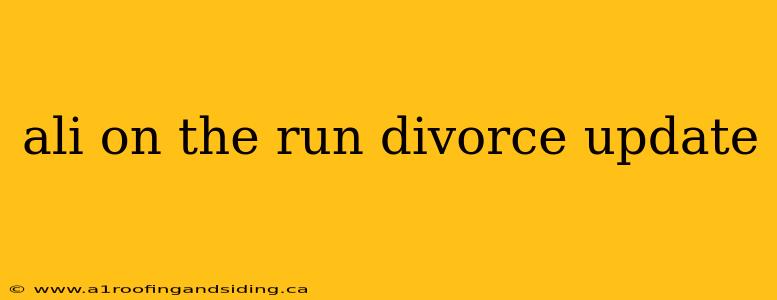 ali on the run divorce update