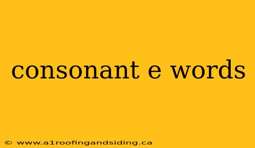 consonant e words