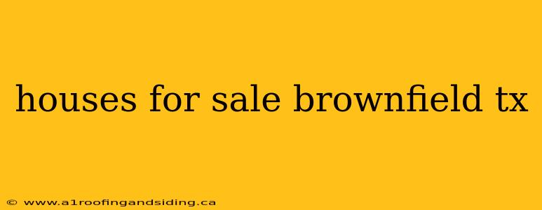 houses for sale brownfield tx