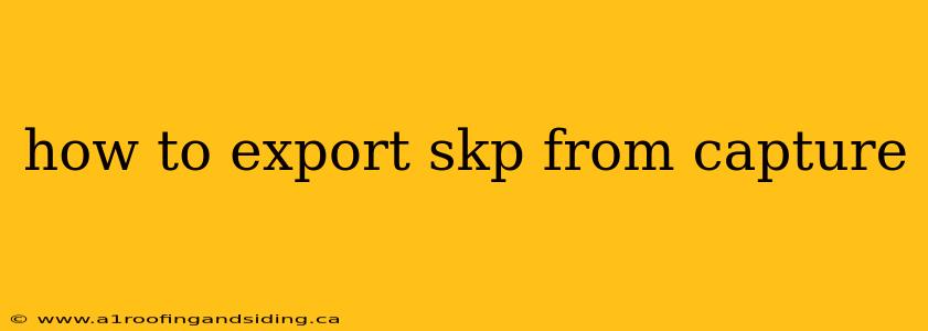 how to export skp from capture