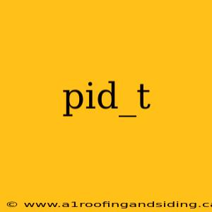 pid_t